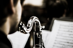 SYMPHONIAE2015-111