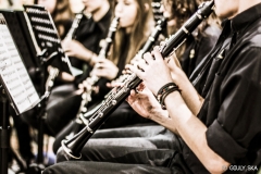 SYMPHONIAE2015-203
