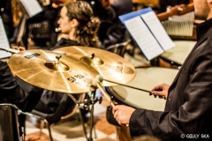 SYMPHONIAE2015-26