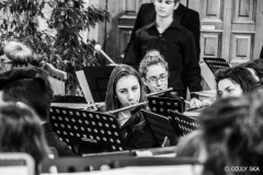 SYMPHONIAE2015-624