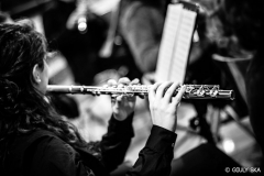SYMPHONIAE2015-71