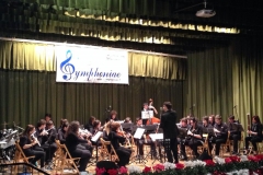 concerti_orchestra_symphoniae_9