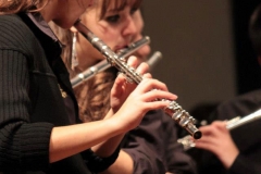 prove_orchestra_symphoniae_17
