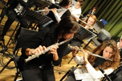 prove_orchestra_symphoniae_24