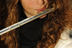 prove_orchestra_symphoniae_31