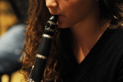 prove_orchestra_symphoniae_32