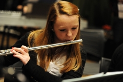 prove_orchestra_symphoniae_33