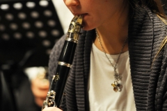 prove_orchestra_symphoniae_34
