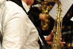 prove_orchestra_symphoniae_35