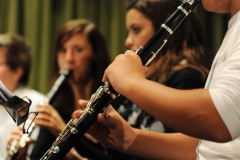 prove_orchestra_symphoniae_37